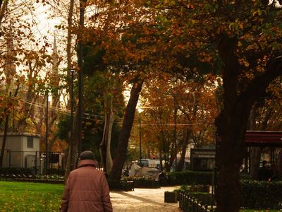 Person walking in the park